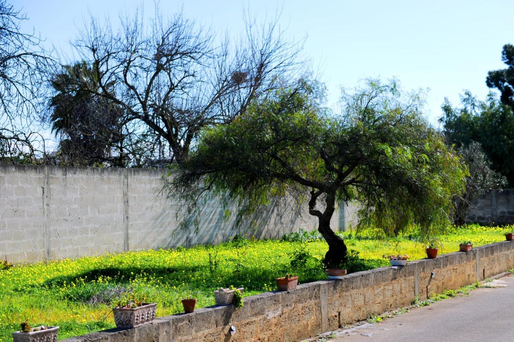 Le Residenze Salentine - Case Vacanza In לצ'ה מראה חיצוני תמונה